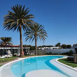 bungalows-el-palmital-playa-del-ingles.in-canary-islands.com/